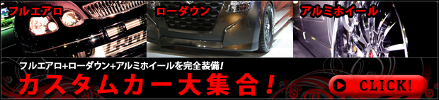 フルエアロ＆ローダウン＆アルミホイールを完全装備したカスタムカー