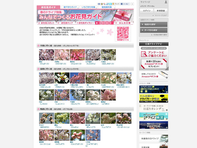 みんなでつくるお花見ガイド「桜図鑑」（日産「ドライブナビ」内）