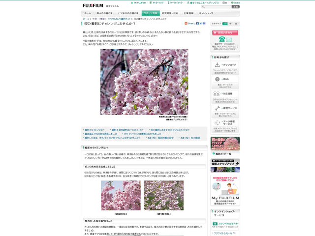 桜の撮影にチャレンジしませんか？（富士フイルムの公式サイト内。「デジタルカメラ撮影ガイド」に掲載）