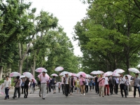 写真は昨年の東京傘開きの様子。今年は6月26日（水）、大橋ジャンクションで行われる。参加希望者はサイトを参照のこと