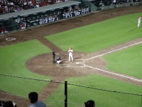 内野にも天然芝が敷かれているプロ野球の本拠地は、現在マツダスタジアムのみ（準本拠地にはほっともっとフィールドがある）