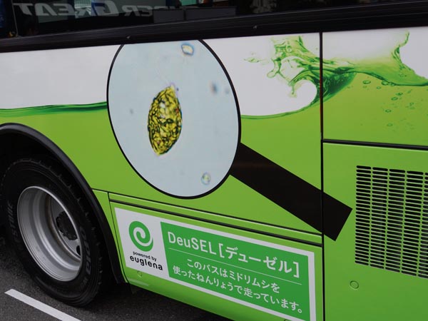 ▲色合いは東京都の都バスに似ているが、側面にはミドリムシの写真を大きく掲載。神奈川県藤沢市のいすゞ工場と湘南台駅の間を結ぶシャトルバスとして運行されている