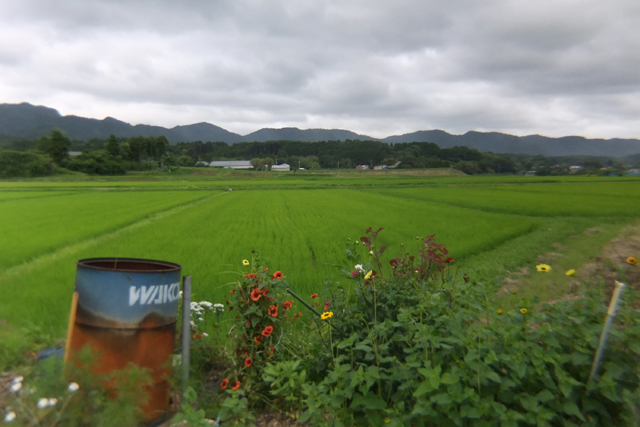 ▲店の裏手の駐車場には、のどかな房総の田園風景が。郷愁を感じてしまい、キュンとなる。ああ、東京には帰りたくねぇよ～