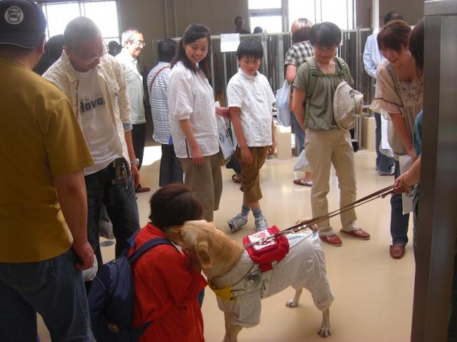 盲導犬訓練施設見学会の様子