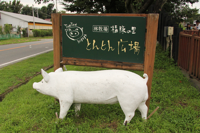 ▲「とんとん広場」では、豚さんの白いオブジェがお出迎え。駐車場は、60台くらいは止められる広さ。公共の交通機関を使うなら、上毛電鉄の大胡駅からタクシーで15分ほどだ