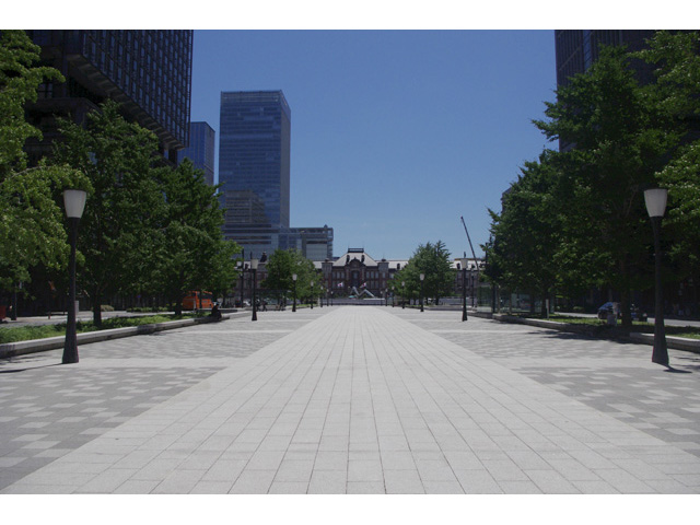 ▲東京駅を望む行幸通り。中央から馬車道、イチョウ並木、車道、歩道で構成されている