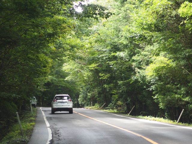 ▲ゴール間近の一般道を笑っちゃうほどの“遅さ”で走る他チーム車両。車速を合わせてみると、なるほどEV走行中ね。ドライバーの緊張感が伝わります