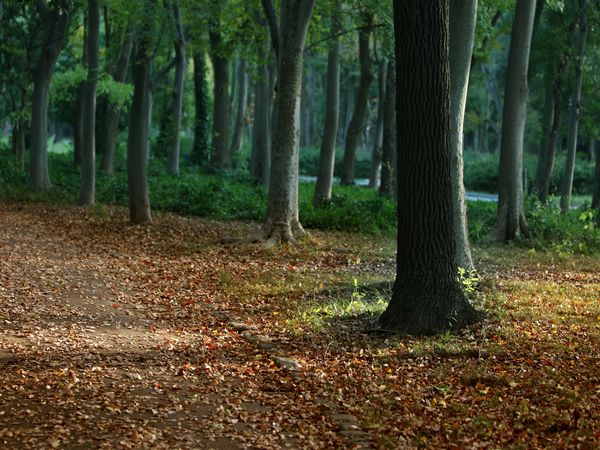 ▲住宅街をランニングしているとすぐに疲れてしまうが、こういった風景の場所に到着した途端、なぜか疲れが吹っ飛んでしまうのが人体の不思議だ