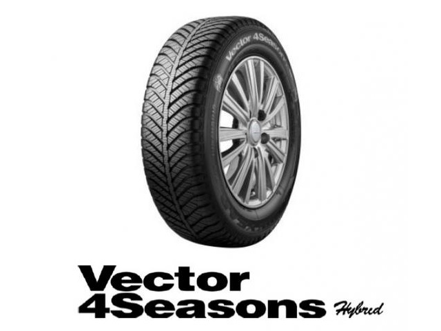 ▲Vector 4 Seasons