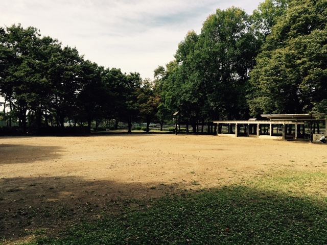 ▲筆者が少年時代、草野球などをやっていた善福寺川緑地公園。ほとんどの場所は様変わりしていたが、写真の一角は30年前とほぼ変わらないまま。様々な記憶が蘇り、思わず涙した筆者だった