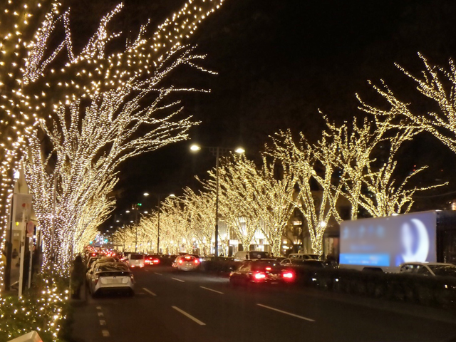▲点灯された街路樹が、ズラリ！ 温かい電球色のLEDイルミネーションです