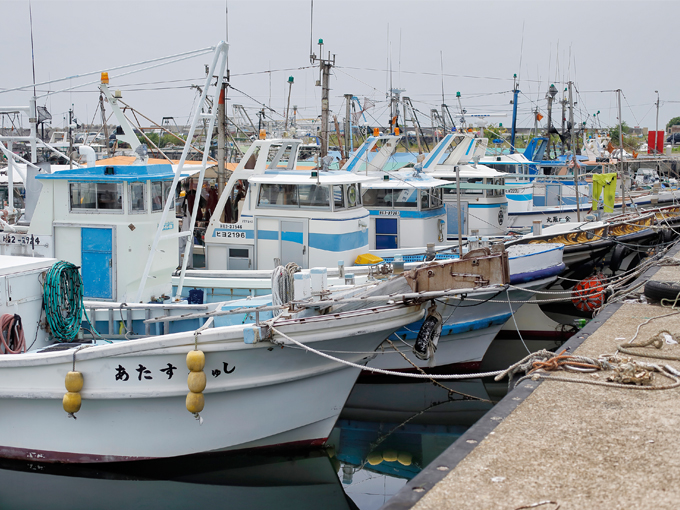▲瀬戸内海東部、四方を海に囲まれた淡路島では漁業が盛ん。取材時は鱧（ハモ）漁の最盛期であった