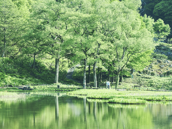 ▲季節の花や植物に出合えて、歩いているだけでも楽しい