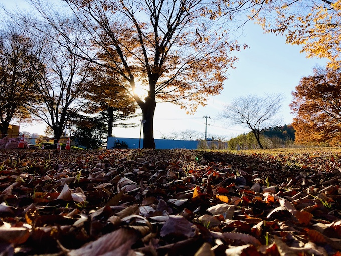 散歩風景