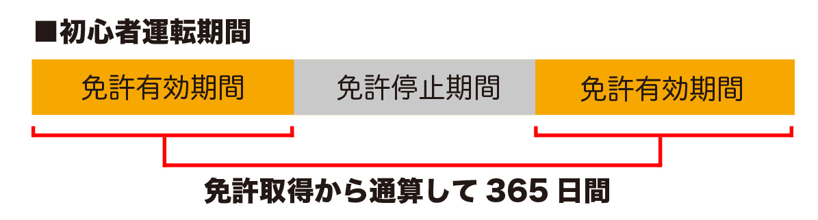 初心運転者期間の図